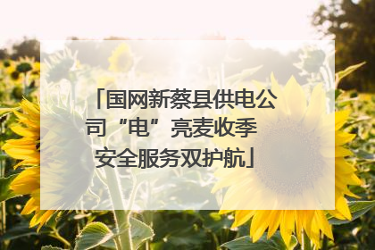 国网新蔡县供电公司“电”亮麦收季 安全服务双护航