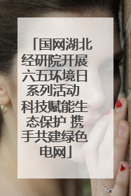 国网湖北经研院开展六五环境日系列活动 科技赋能生态保护 携手共建绿色电网
