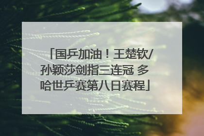 国乒加油！王楚钦/孙颖莎剑指三连冠 多哈世乒赛第八日赛程