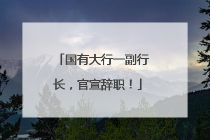 国有大行一副行长，官宣辞职！
