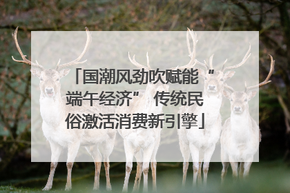 国潮风劲吹赋能“端午经济” 传统民俗激活消费新引擎