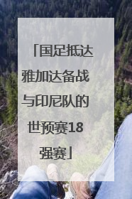 国足抵达雅加达备战与印尼队的世预赛18强赛