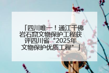 四川唯一！通江千佛岩石窟文物保护工程获评四川省“2025年文物保护优质工程”
