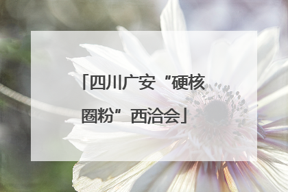 四川广安“硬核圈粉”西洽会