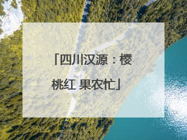 四川汉源：樱桃红 果农忙