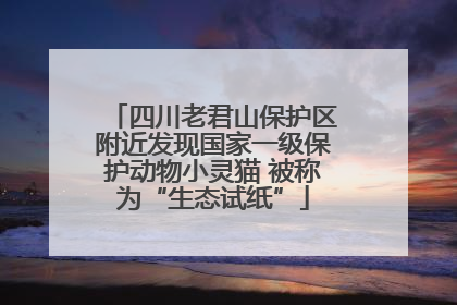 四川老君山保护区附近发现国家一级保护动物小灵猫 被称为“生态试纸”