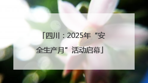 四川：2025年“安全生产月”活动启幕