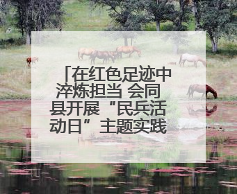 在红色足迹中淬炼担当 会同县开展“民兵活动日”主题实践活动