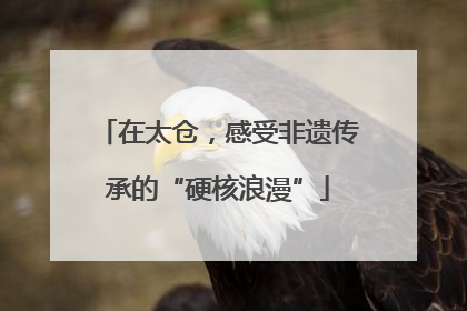 在太仓，感受非遗传承的“硬核浪漫”