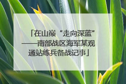 在山巅“走向深蓝”——南部战区海军某观通站练兵备战记事