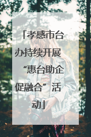孝感市台办持续开展“惠台助企促融合”活动