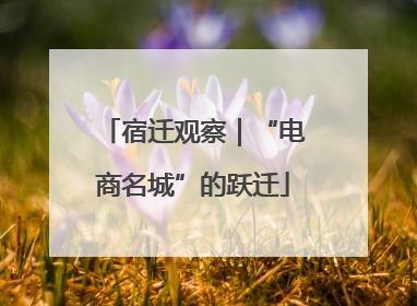 宿迁观察｜“电商名城”的跃迁