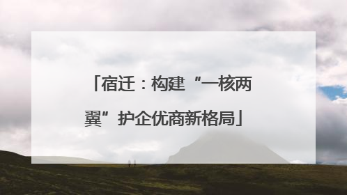 宿迁：构建“一核两翼”护企优商新格局