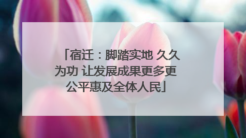 宿迁：脚踏实地 久久为功 让发展成果更多更公平惠及全体人民