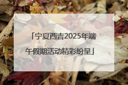 宁夏西吉2025年端午假期活动精彩纷呈