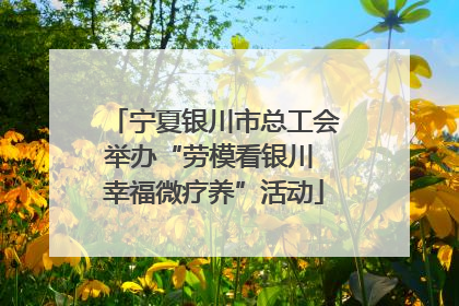 宁夏银川市总工会举办“劳模看银川 幸福微疗养”活动