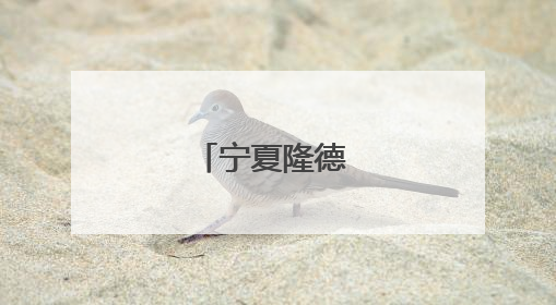 宁夏隆德 浓情端午