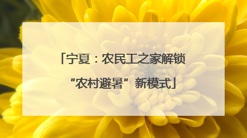 宁夏：农民工之家解锁“农村避暑”新模式
