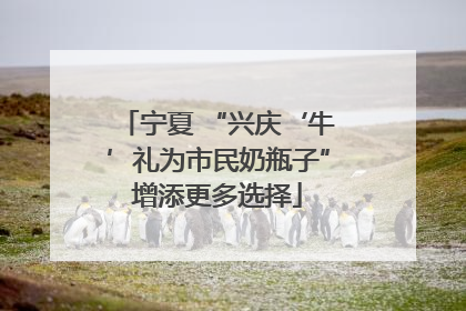 宁夏 “兴庆‘牛’礼为市民奶瓶子”增添更多选择