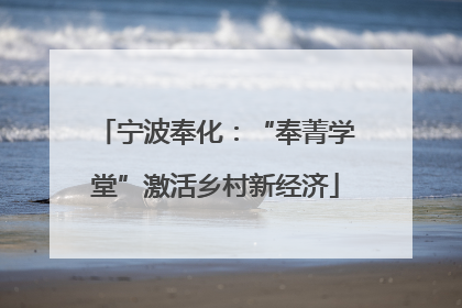 宁波奉化：“奉菁学堂”激活乡村新经济