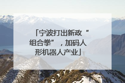 宁波打出新政“组合拳”，加码人形机器人产业