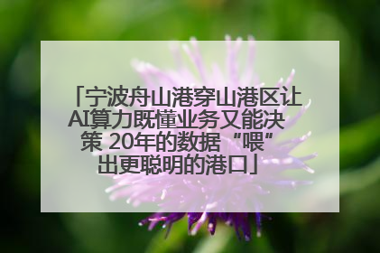 宁波舟山港穿山港区让AI算力既懂业务又能决策 20年的数据“喂”出更聪明的港口