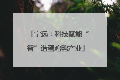 宁远：科技赋能“智”造蛋鸡鸭产业