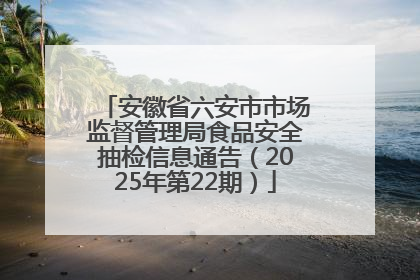 安徽省六安市市场监督管理局食品安全抽检信息通告（2025年第22期）