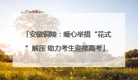 安徽铜陵：暖心举措“花式”解压 助力考生迎接高考