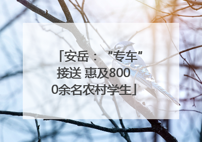 安岳：“专车”接送 惠及8000余名农村学生