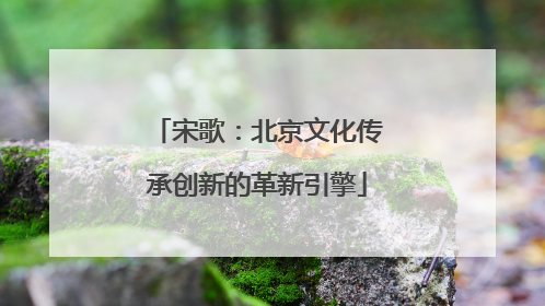 宋歌：北京文化传承创新的革新引擎