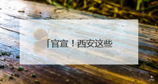 官宣！西安这些车管所能买电动摩托车交强险了