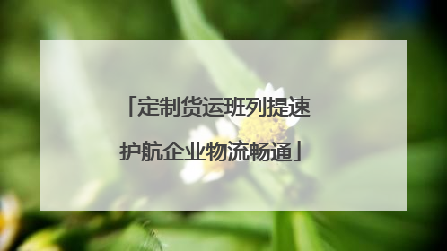 定制货运班列提速 护航企业物流畅通