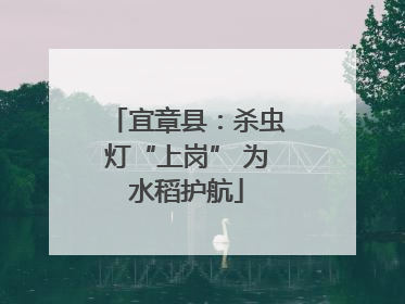 宜章县：杀虫灯“上岗” 为水稻护航