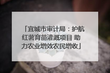 宜城市审计局：护航红薯育苗灌溉项目 助力农业增效农民增收