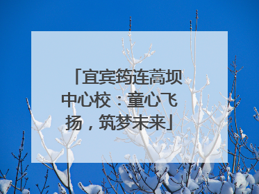 宜宾筠连蒿坝中心校：童心飞扬，筑梦未来