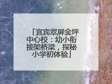 宜宾翠屏金坪中心校：幼小衔接架桥梁，探秘小学初体验