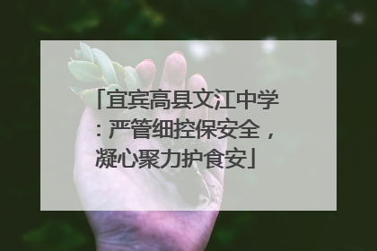 宜宾高县文江中学：严管细控保安全，凝心聚力护食安