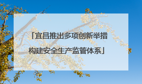 宜昌推出多项创新举措 构建安全生产监管体系
