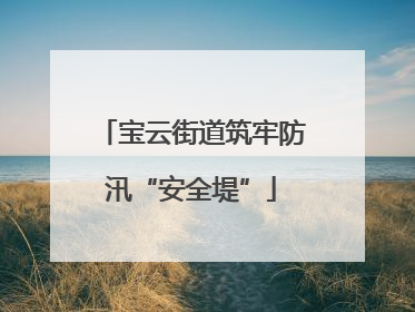 宝云街道筑牢防汛“安全堤”