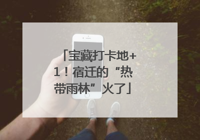 宝藏打卡地+1！宿迁的“热带雨林”火了