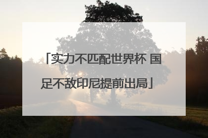 实力不匹配世界杯 国足不敌印尼提前出局