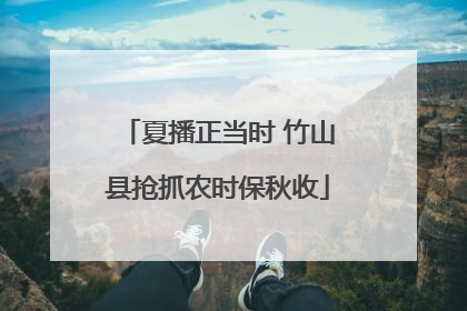 夏播正当时 竹山县抢抓农时保秋收
