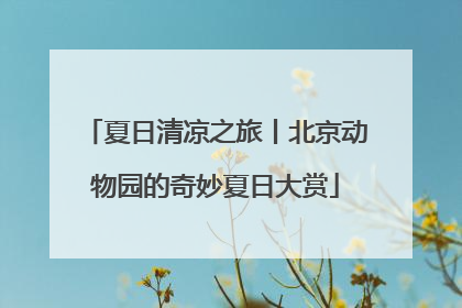 夏日清凉之旅丨北京动物园的奇妙夏日大赏