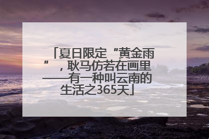 夏日限定“黄金雨”，耿马仿若在画里——有一种叫云南的生活之365天