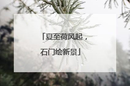 夏至荷风起，石门绘新景