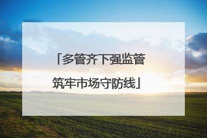 多管齐下强监管 筑牢市场守防线
