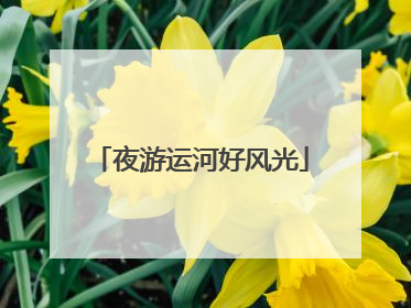 夜游运河好风光