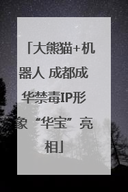 大熊猫+机器人 成都成华禁毒IP形象“华宝”亮相