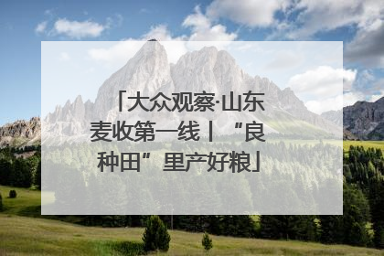 大众观察·山东麦收第一线丨“良种田”里产好粮